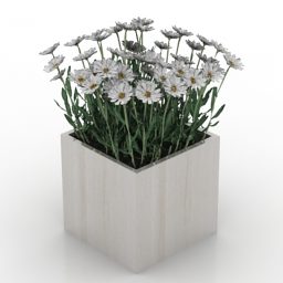 إناء زهور البابونج نموذج ثلاثي الأبعاد