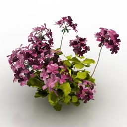 Pink Flowers Garden Plant 3d model