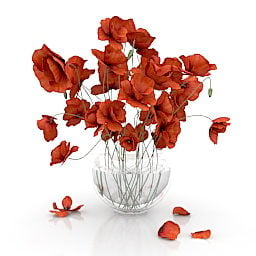 Indoor Flowers Poppies 3d model