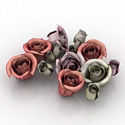 3д модель Цветы Розы