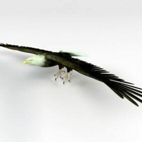مدل سه بعدی حیوان عقاب طلایی