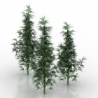 草大麻の木の植物