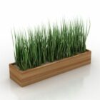 Трава в деревянной коробке
