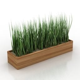 Grass In Wooden Box דגם תלת מימד