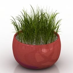 Modelo 3d de planta de vaso de grama