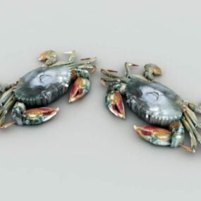 Green Crab Animal 3d model