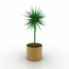 House Plant In Wooden Pot
