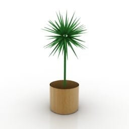 Zimmerpflanze im Holztopf 3D-Modell