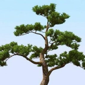 Pine Tree In Snow Landscape 3d model