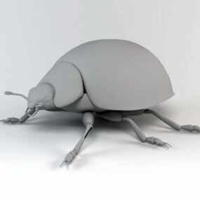 Modelo 3d de besouro joaninha animal