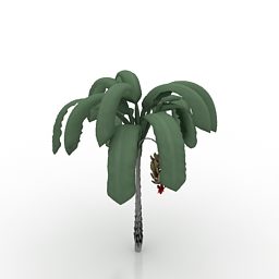 Musa Para Ağacı Bitkisi 3d model