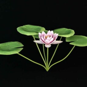 Nature Water Lily Plant דגם תלת מימד