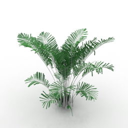 Ornamental Plant For Garden 3d model