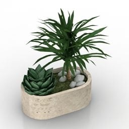 Palma in vaso decorativo modello 3d