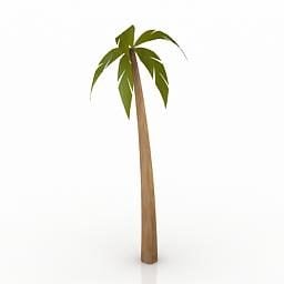 High Palm Tree 3d model