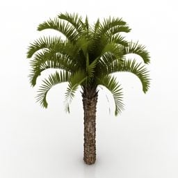 3д модель красивой пальмы
