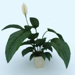 Indoor Pot With Plant 3d model