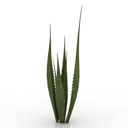 Planta de jardín Aloe Vera modelo 3d