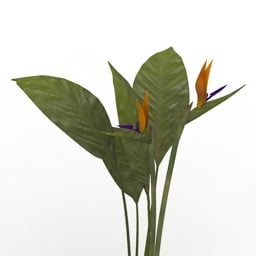 Lowpoly Рослина райський птах 3d модель
