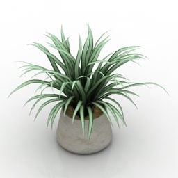 植物吊兰在花瓶​​中 3d模型
