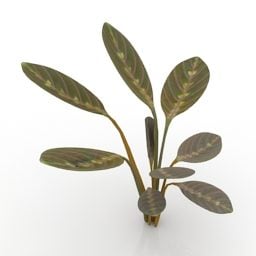 Lowpoly Plant Prayer 3d model
