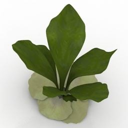 Lowpoly Plant Staghorn Fern 3d model