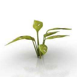 Green Plant Swiss Cheese 3d model