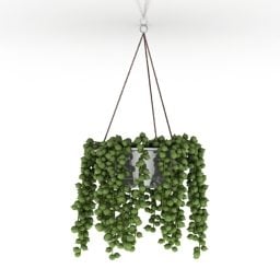 Hanging Ivy Plant Decor 3d model