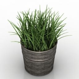 Grass Wheat In Pot 3d model