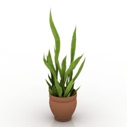 Modello 3d della casa delle piante in vaso