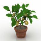 Pot de citron pour plantes de jardin