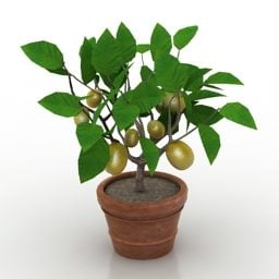 3D model zahradní rostliny s citronem