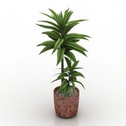 Modello 3d di pianta di palma in vaso