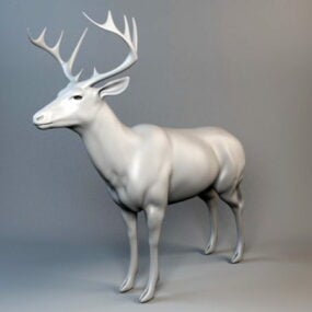 Animal Red Deer Stag 3d-modell
