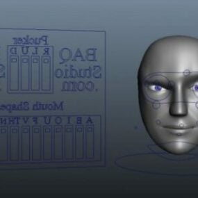 Ludzka głowa robota Rigged Model 3d