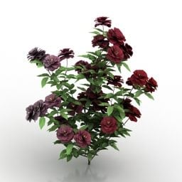 Rose Bushes Flower 3d model