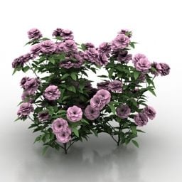 Arbre de plante de buisson de roses modèle 3D