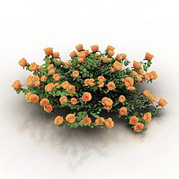 Garden Roses Bush 3d-modell