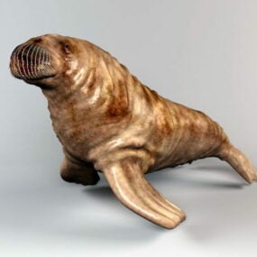 Sea Walrus Animal 3d model