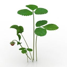 Lowpoly Strawberry Plant 3d model