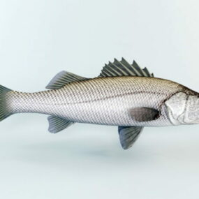 Model 3d Ikan Bass Bergaris Hewan