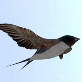 Swallow Bird Animal 3d-modell