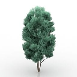 Model 3D drzewa ogrodowego Chamaecyparis