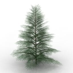 Model 3d Tanaman Pohon Picea Pungens Glauca