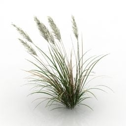 Garden Weed Grass 3d-model