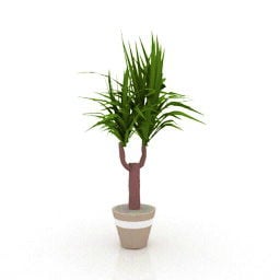 گلدانی گیاه یوکا مدل سه بعدی