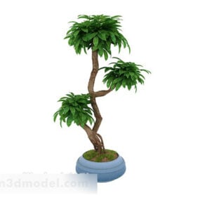 Plant Bonsai Table Decoration 3d model
