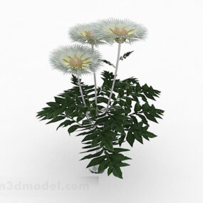 White Flower Garden Plant 3d-model