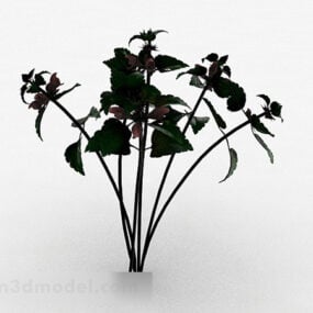 3d-модель зеленої рослини