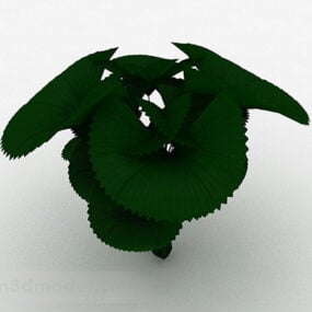 Round Leaf Garden Plant 3d model